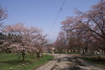 CF CARD 6PICT0001 (118)