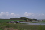 CF CARD 6PICT0001 (144)