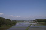 CF CARD 6PICT0001 (146)