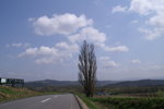 CF CARD 6PICT0001 (162)