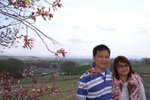 CF CARD 6PICT0001 (227)