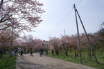 CF CARD 6PICT0001 (92)