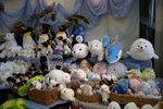 CF CARD 8 PICT0002 (52)