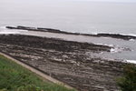 PICT0117