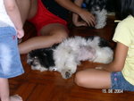 PICT2694