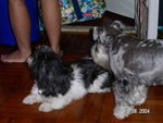 PICT2695