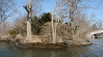 DSC04335