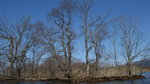 DSC04341