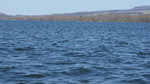 DSC04345