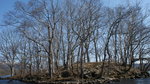 DSC04358