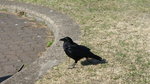 DSC04363