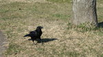 DSC04366