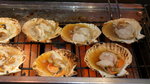 DSC04419