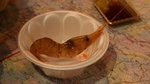 DSC04441