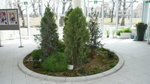 DSC04565