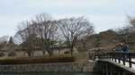 DSC04581