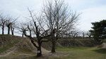 DSC04588