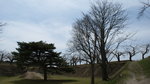 DSC04590