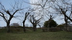 DSC04593