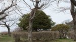 DSC04594