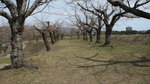 DSC04604