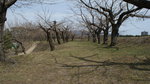 DSC04605