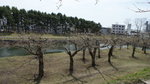 DSC04607