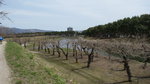 DSC04609