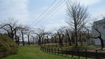 DSC04626