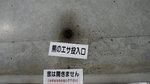 DSC04739