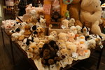 DSC04981