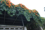 DSC07108