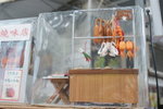 DSC07109
