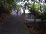 PICT8107