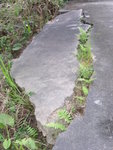 PICT8109