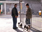 PICT0008