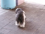 PICT0012