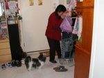 PICT0016