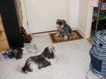 PICT0021