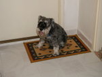 PICT0022
