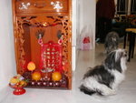 PICT0044