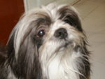 PICT0045