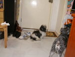 PICT0079
