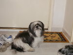 PICT0082