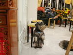 PICT0092