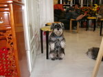 PICT0093