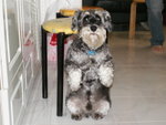 PICT0094