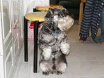 PICT0095