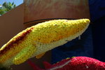 DSC08189