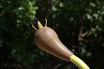 DSC07678